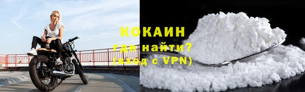 крисы Баксан