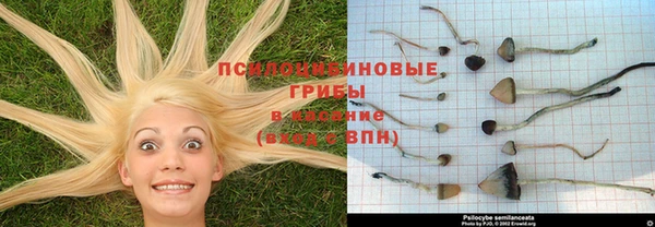 кокаин Балабаново