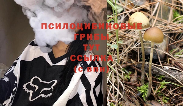 крисы Баксан