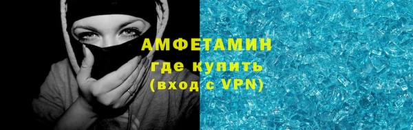 крисы Баксан