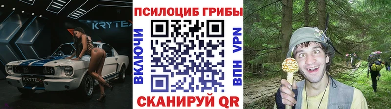 Галлюциногенные грибы Psilocybine cubensis Иноземцево